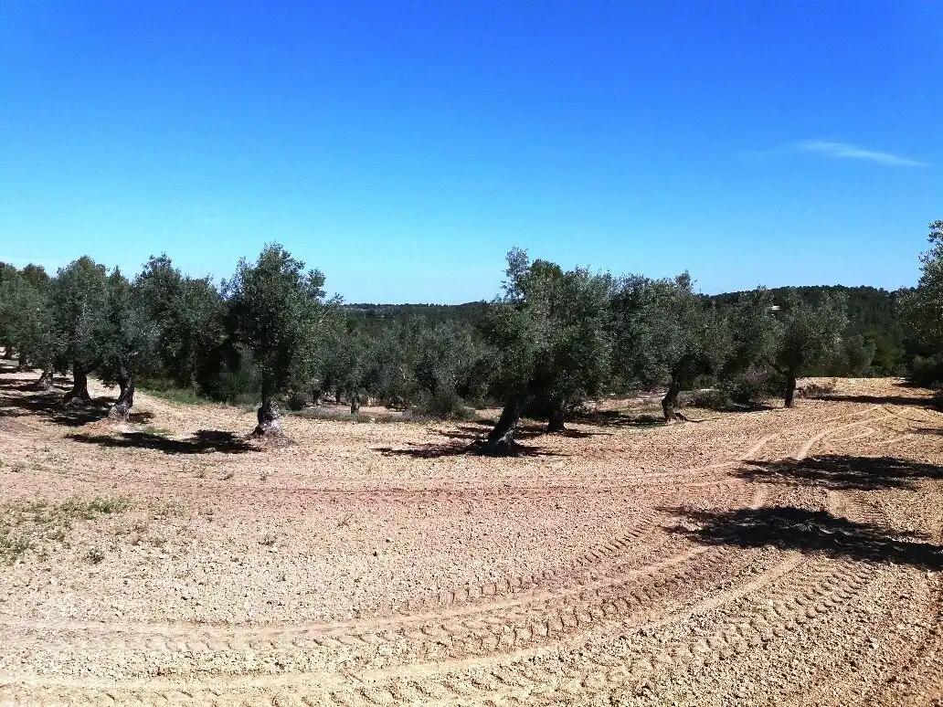 Finca en Venta en Cretas