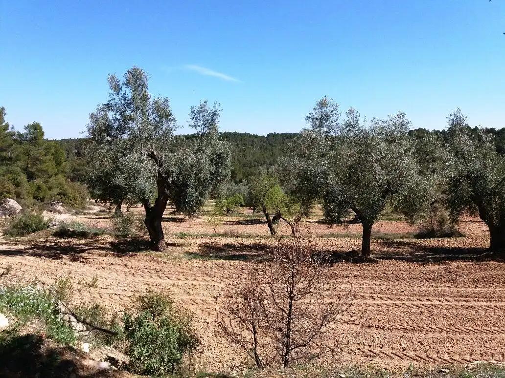Finca en Venta en Cretas