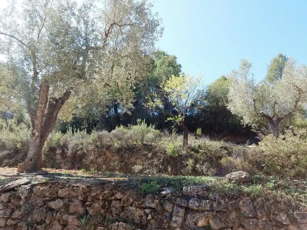 Finca en Venta en Cretas
