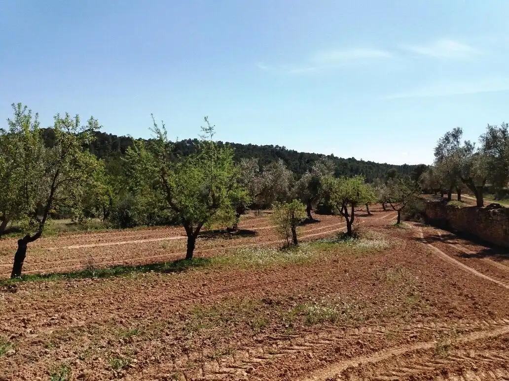 Finca en Venta en Cretas