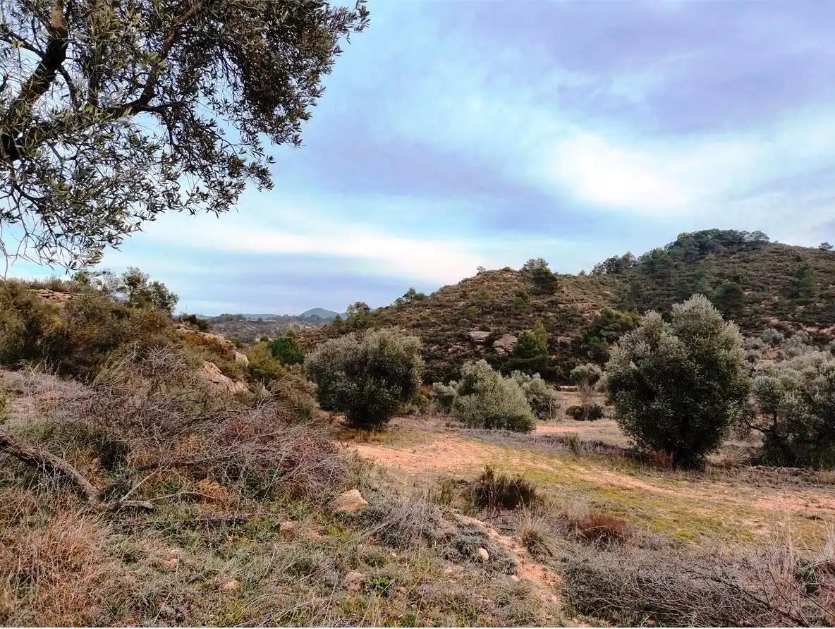 Finca en Venta en Calaceite