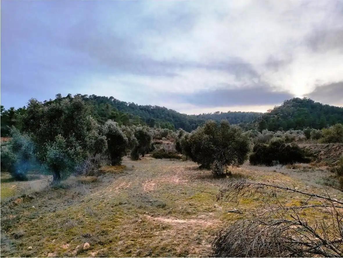 Finca en Venta en Calaceite