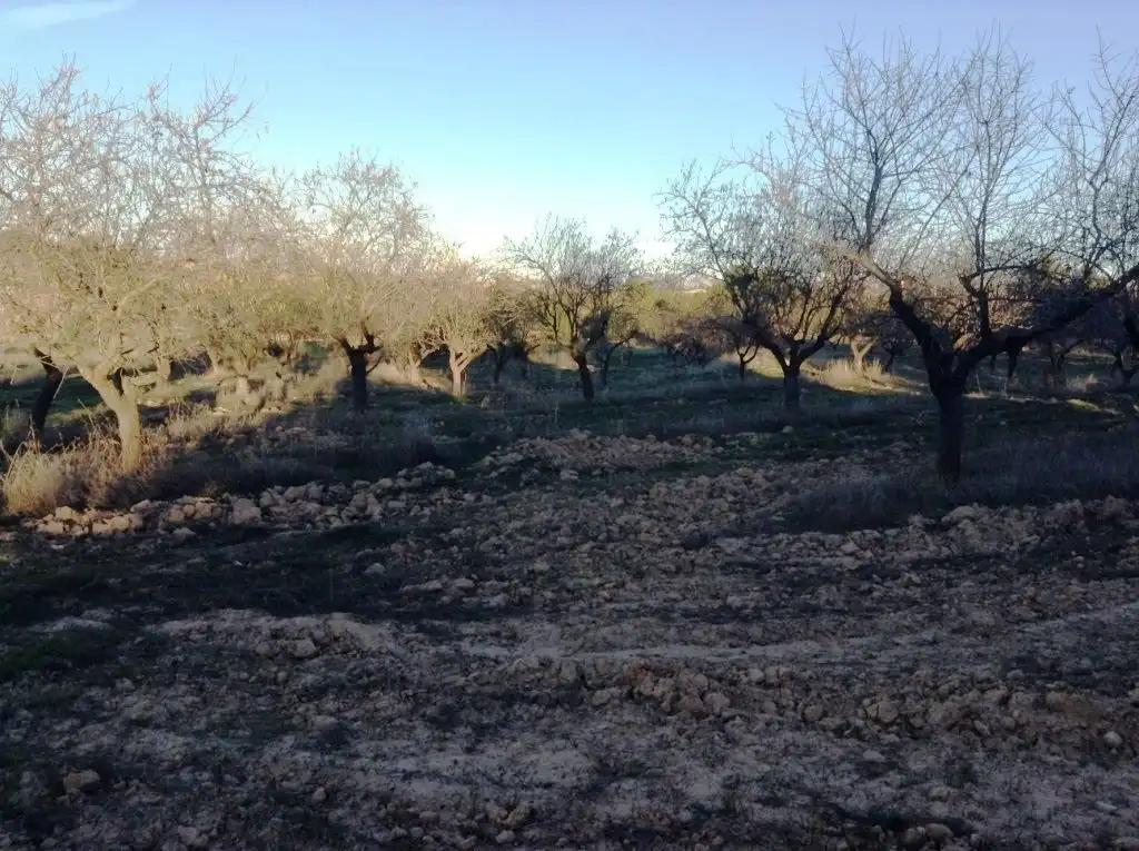 Finca en Venta en Valderrobres