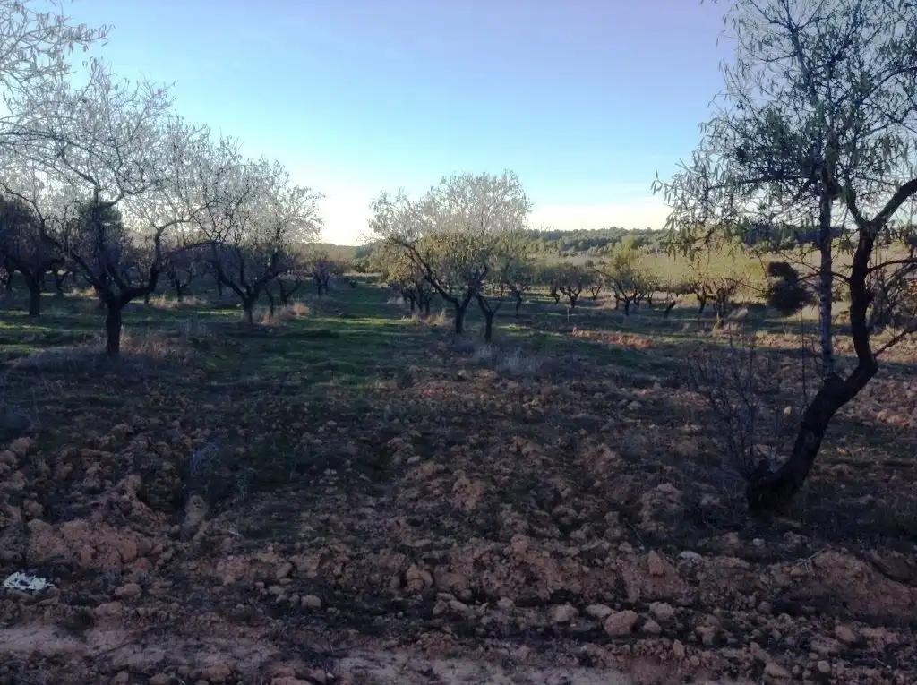 Finca en Venta en Valderrobres