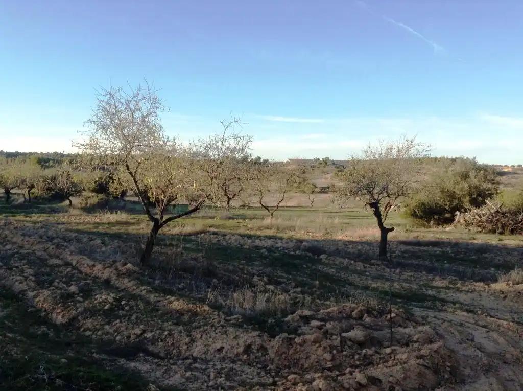 Finca en Venta en Valderrobres