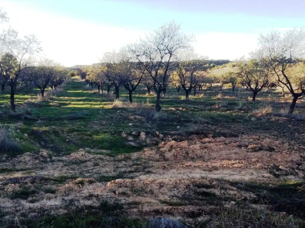 Finca en Venta en Valderrobres