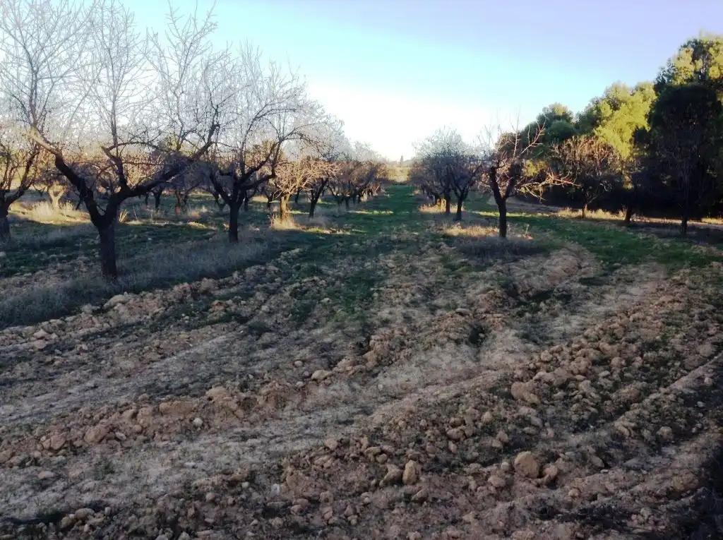 Finca en Venta en Valderrobres