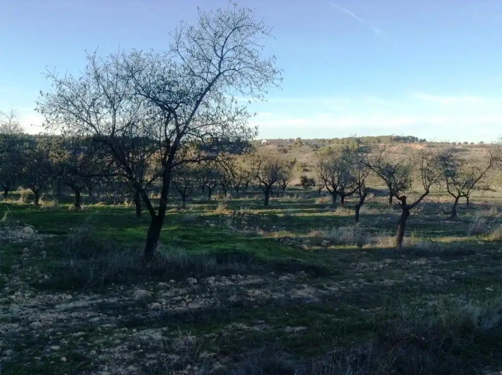 Finca en Venta en Valderrobres