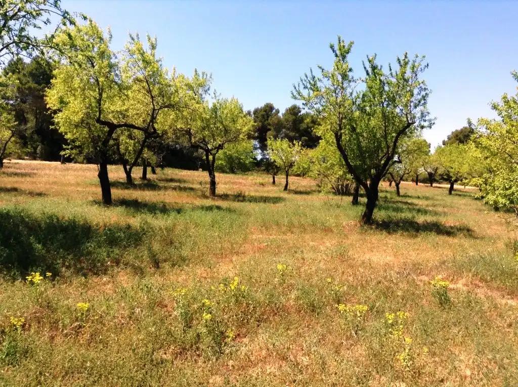 Finca en Venta en Arens de Lledó