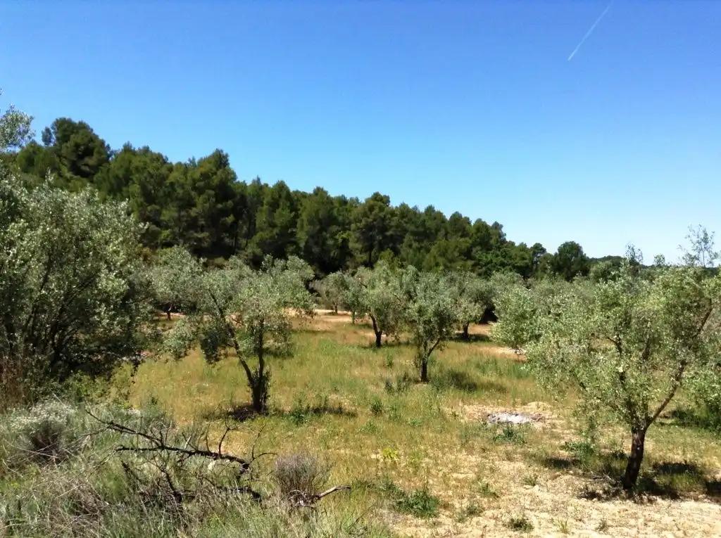 Finca en Venta en Arens de Lledó