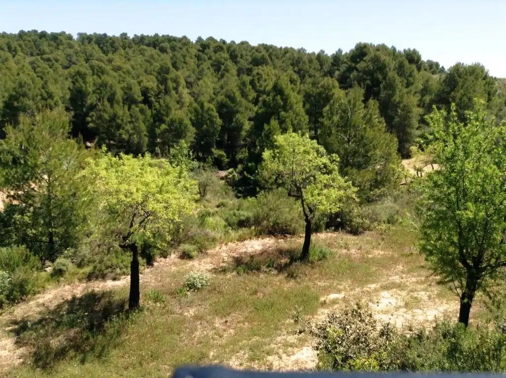 Finca en Venta en Arens de Lledó