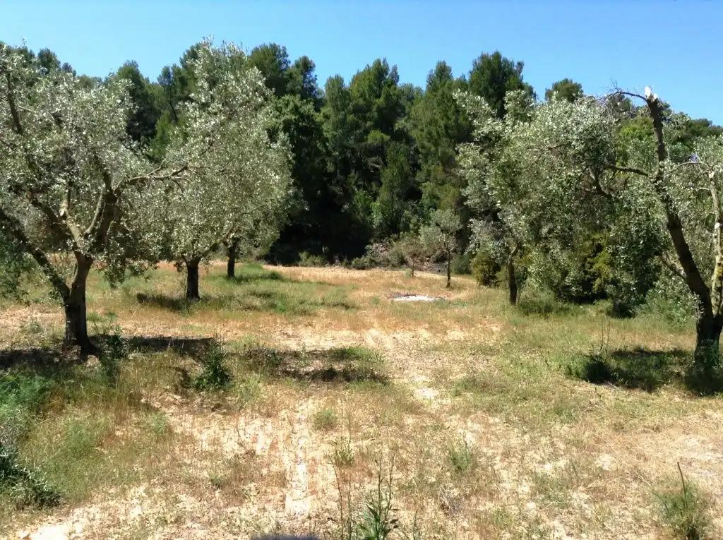Finca en Venta en Arens de Lledó