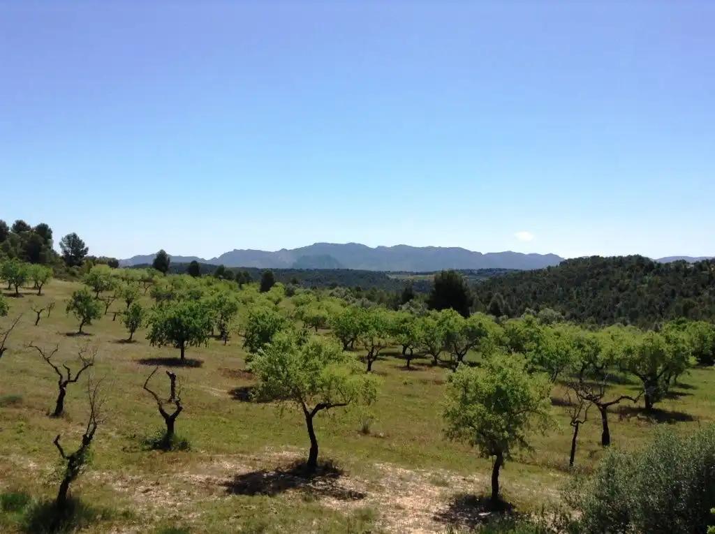Finca en Venta en Arens de Lledó