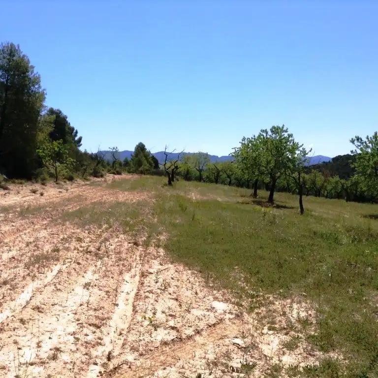 Finca en Venta en Arens de Lledó