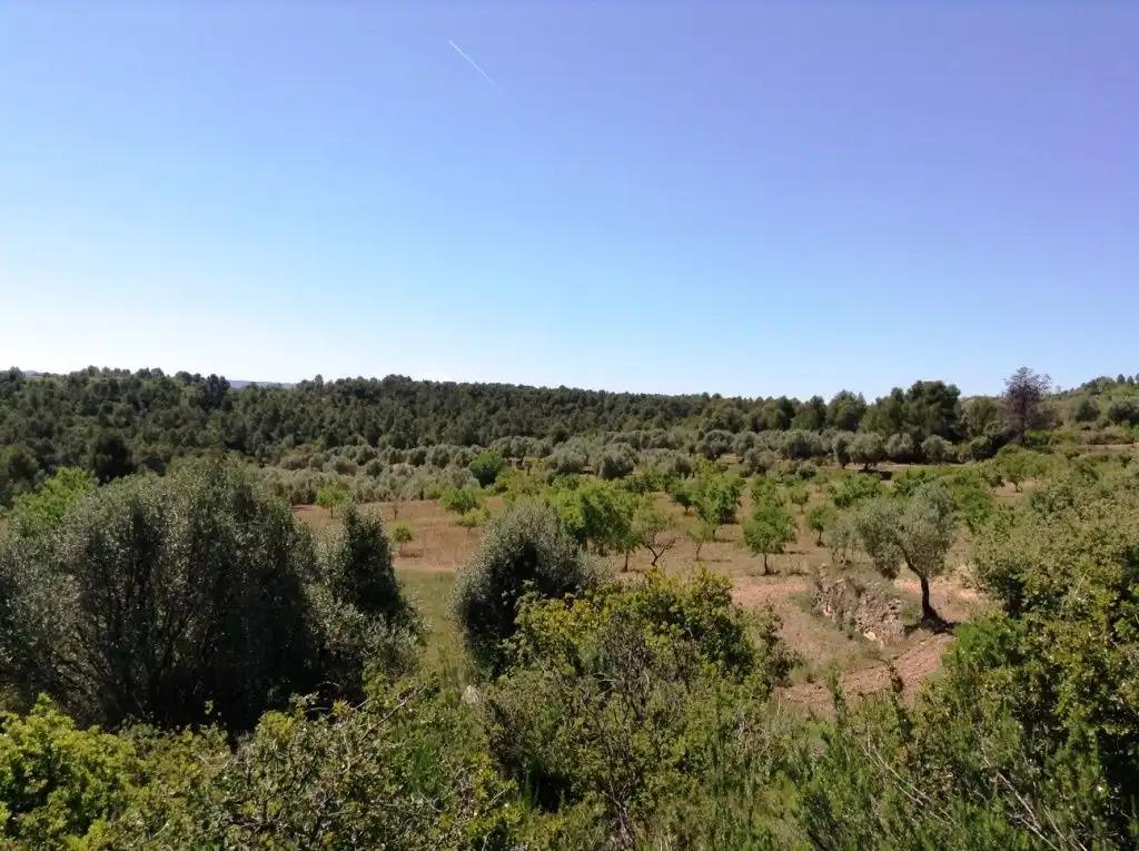 Finca en Venta en Arens de Lledó