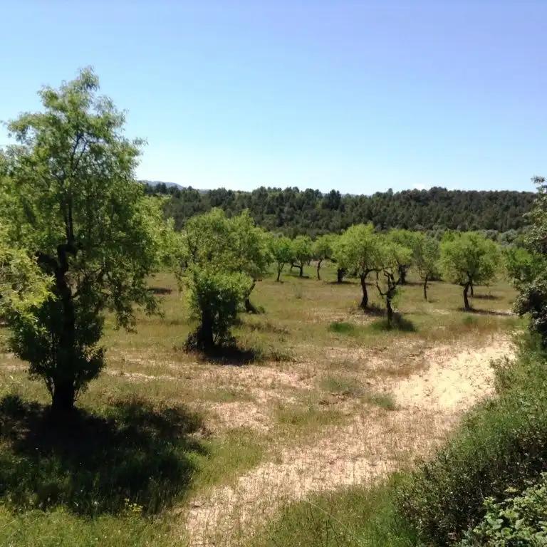 Finca en Venta en Arens de Lledó