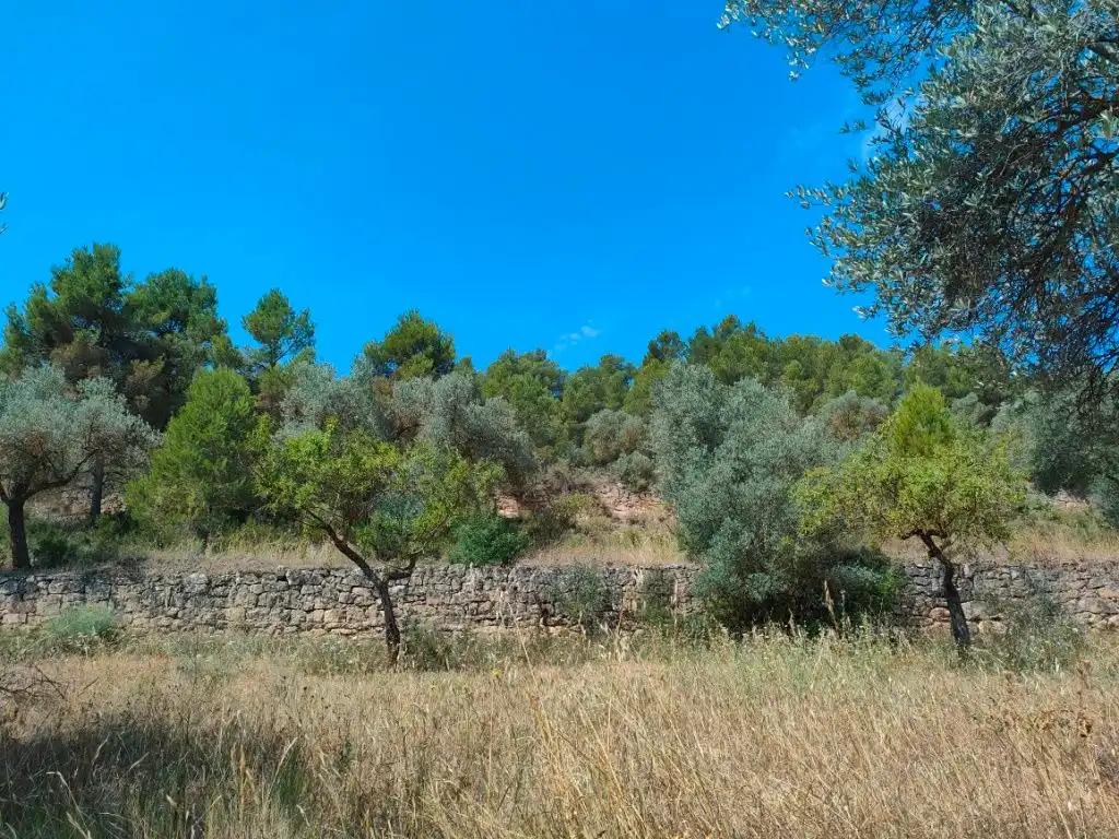 Finca en Venta en Arens de Lledó