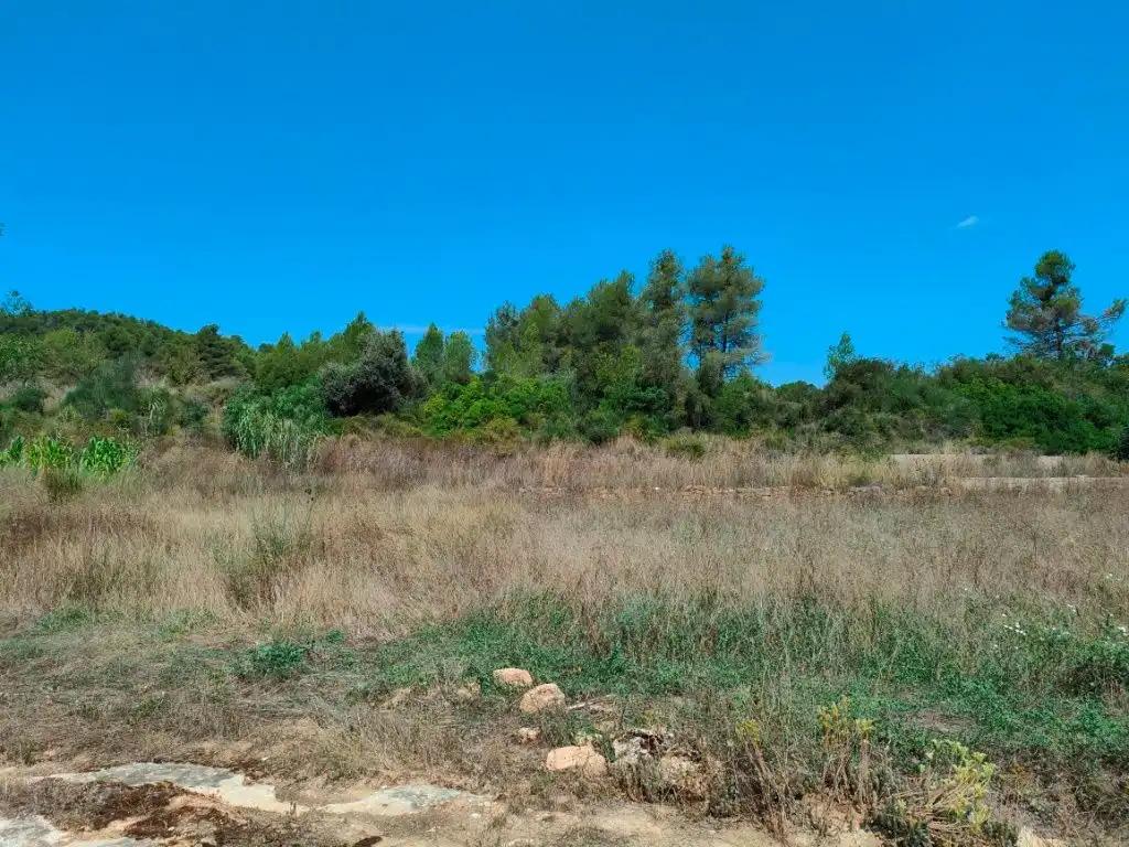 Finca en Venta en Arens de Lledó