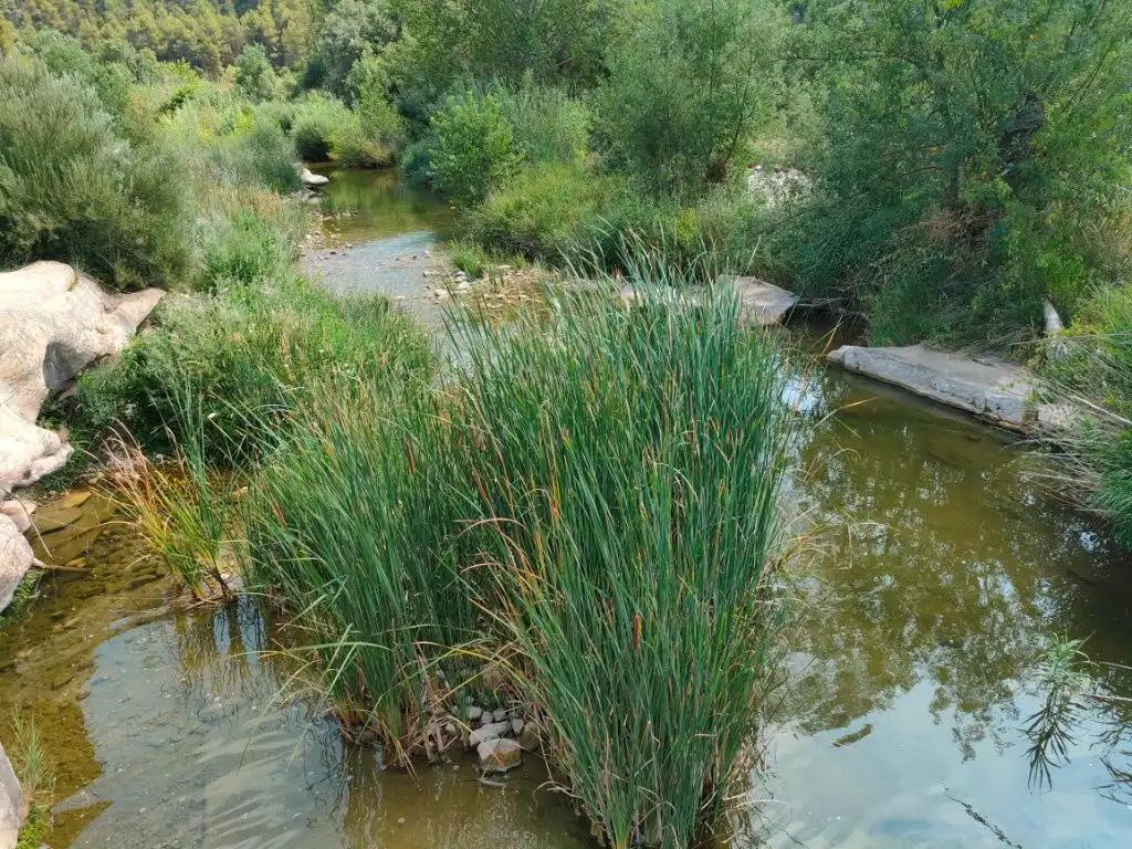 Finca en Venta en Arens de Lledó