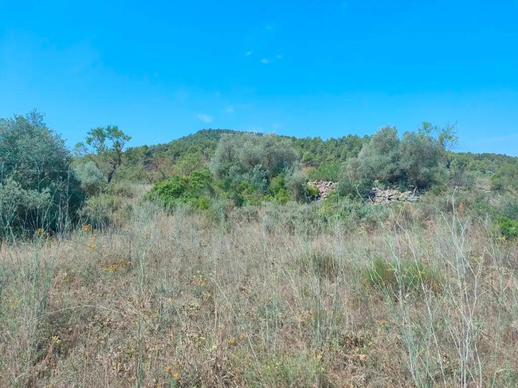 Finca en Venta en Arens de Lledó