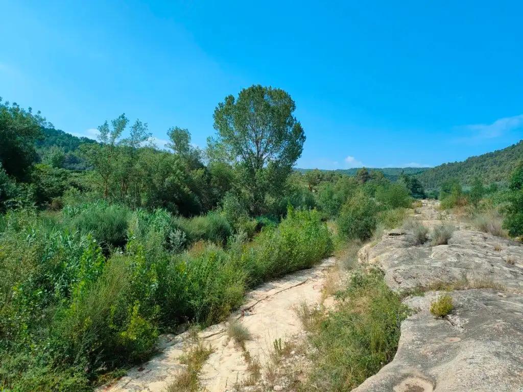 Finca en Venta en Arens de Lledó