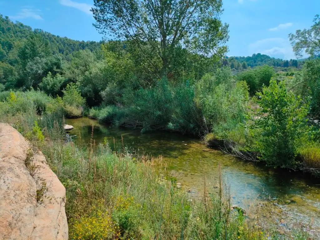 Finca en Venta en Arens de Lledó