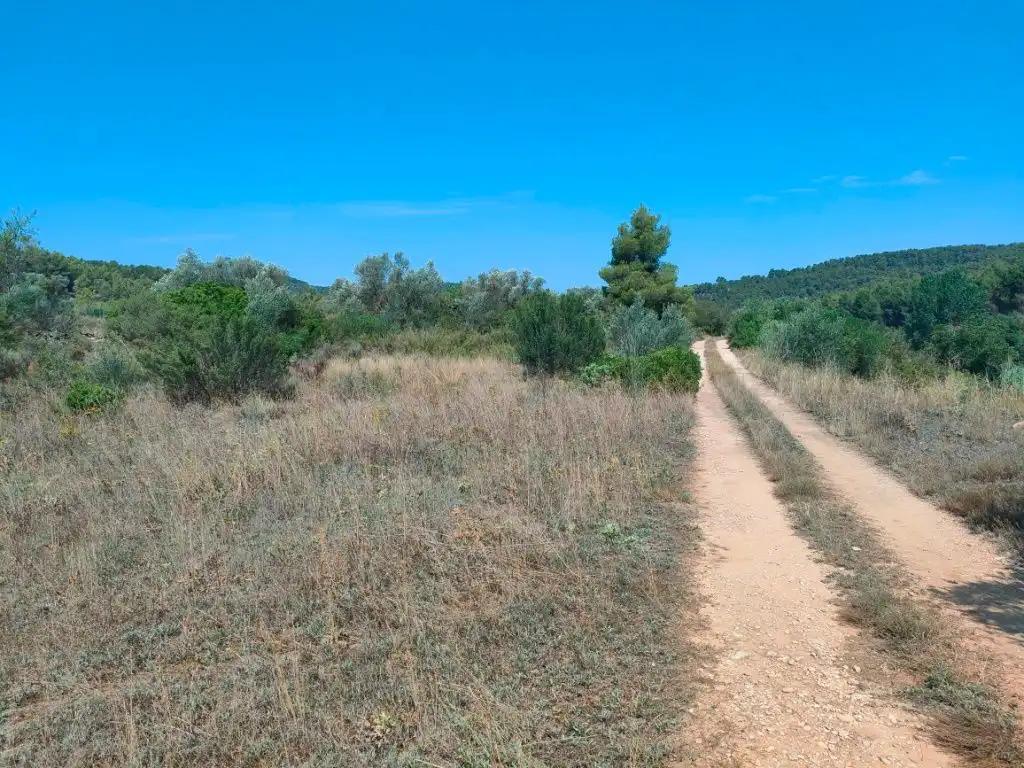 Finca en Venta en Arens de Lledó