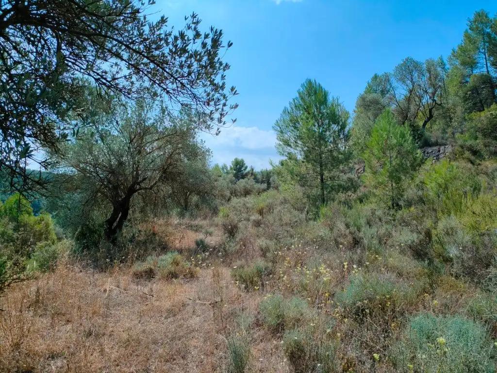 Finca en Venta en Arens de Lledó