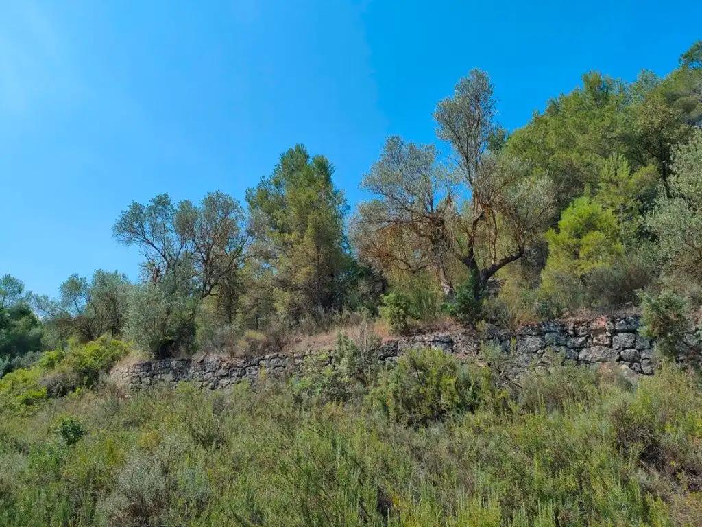 Finca en Venta en Arens de Lledó
