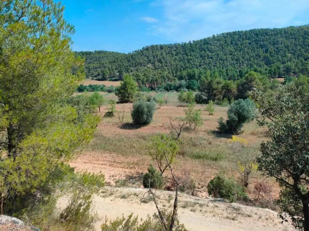 Finca en Venta en Arens de Lledó