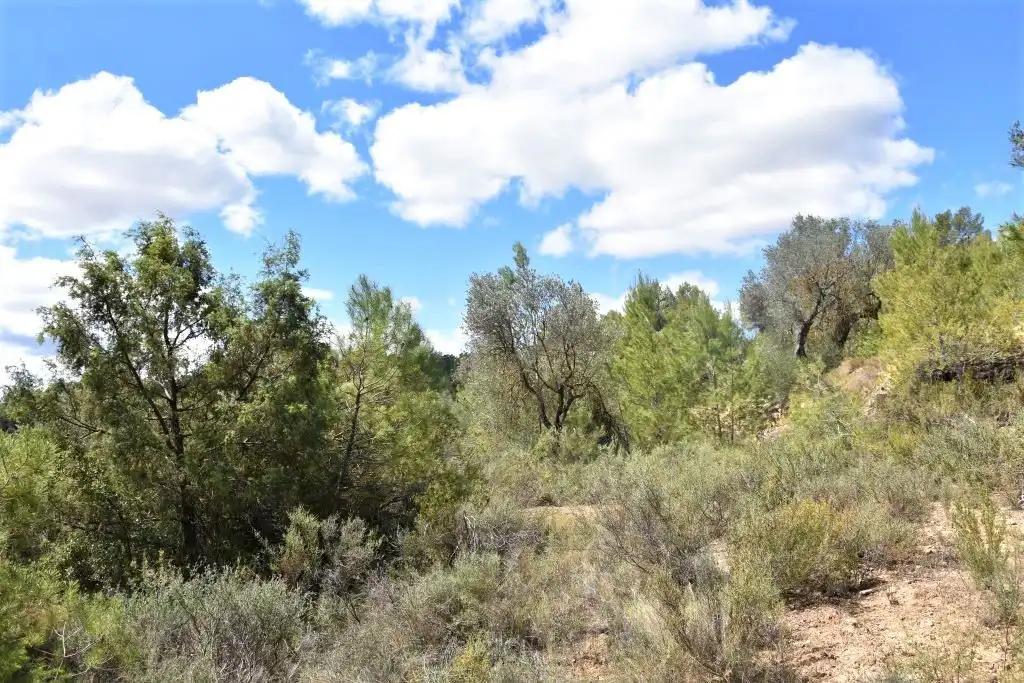 Finca en Venta en Arens de Lledó