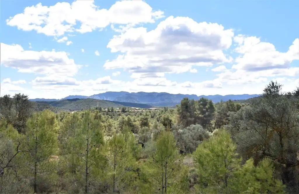 Finca en Venta en Arens de Lledó