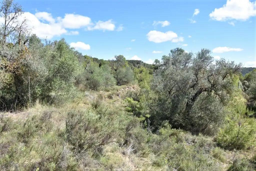 Finca en Venta en Arens de Lledó
