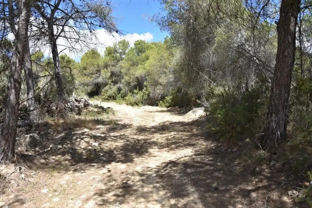 Finca en Venta en Arens de Lledó