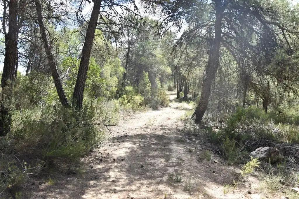 Finca en Venta en Arens de Lledó