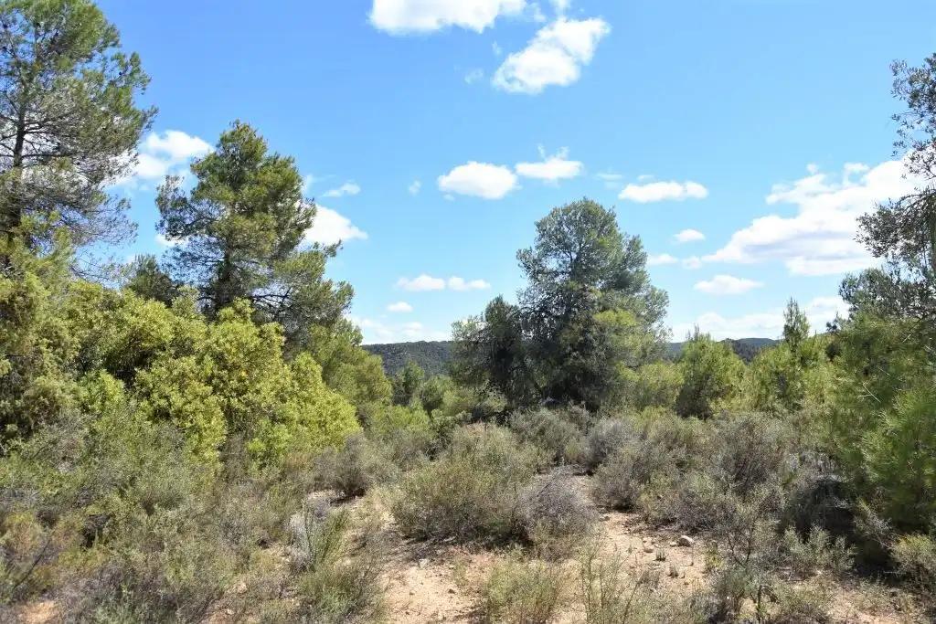 Finca en Venta en Arens de Lledó