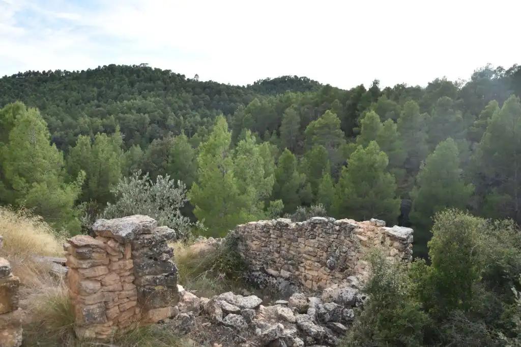 Finca en Venta en La Cerollera