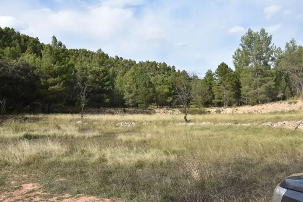 Finca en Venta en La Cerollera