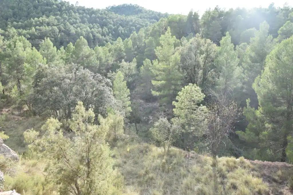 Finca en Venta en La Cerollera