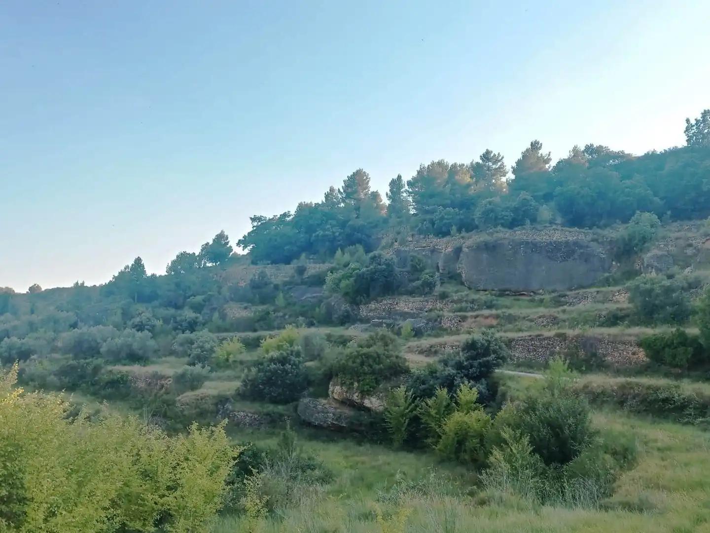 Finca en Venta en Monroyo