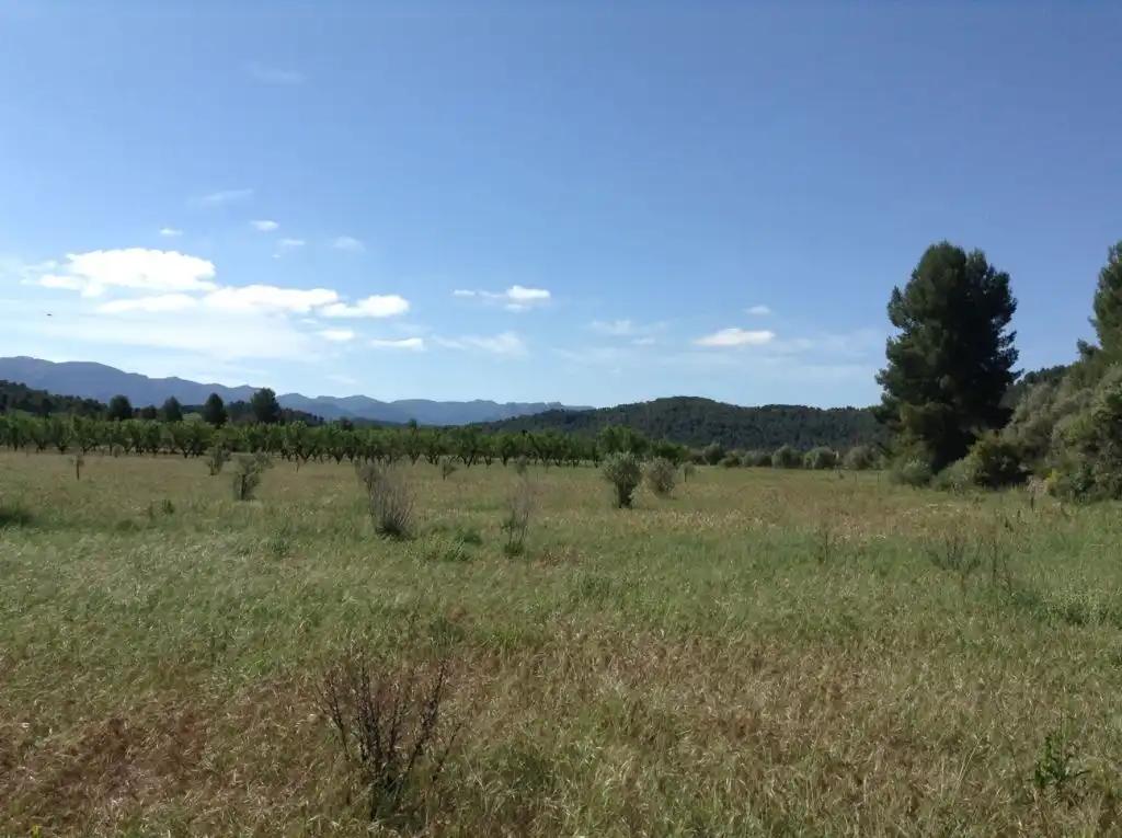 Finca en Venta en Arens de Lledó