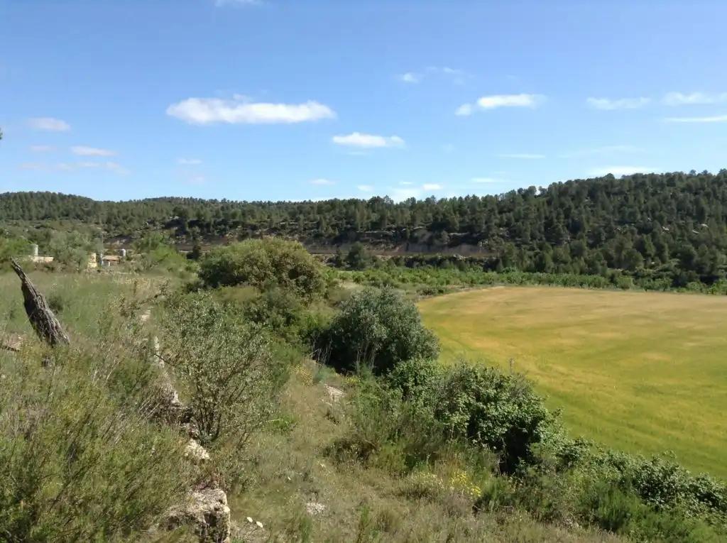 Finca en Venta en Arens de Lledó