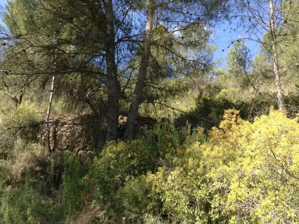 Finca en Venta en Arens de Lledó