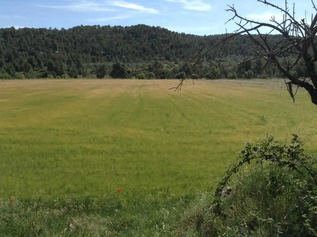 Finca en Venta en Arens de Lledó