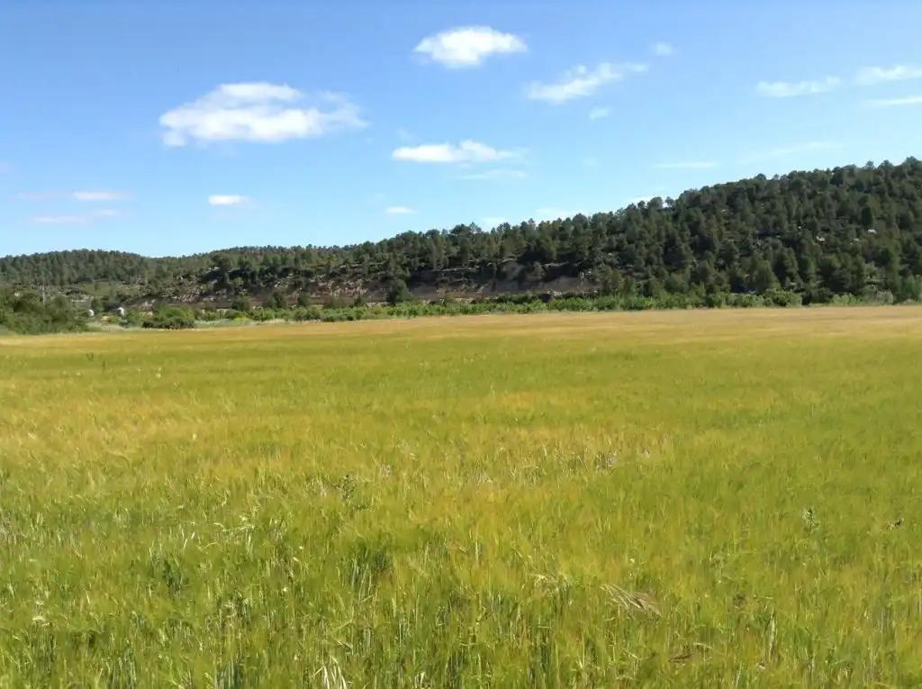 Finca en Venta en Arens de Lledó