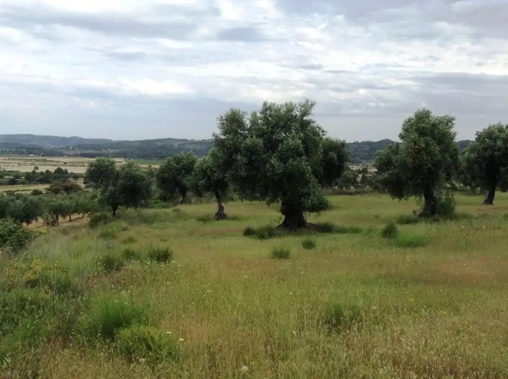 Finca en Venta en Horta de Sant Joan