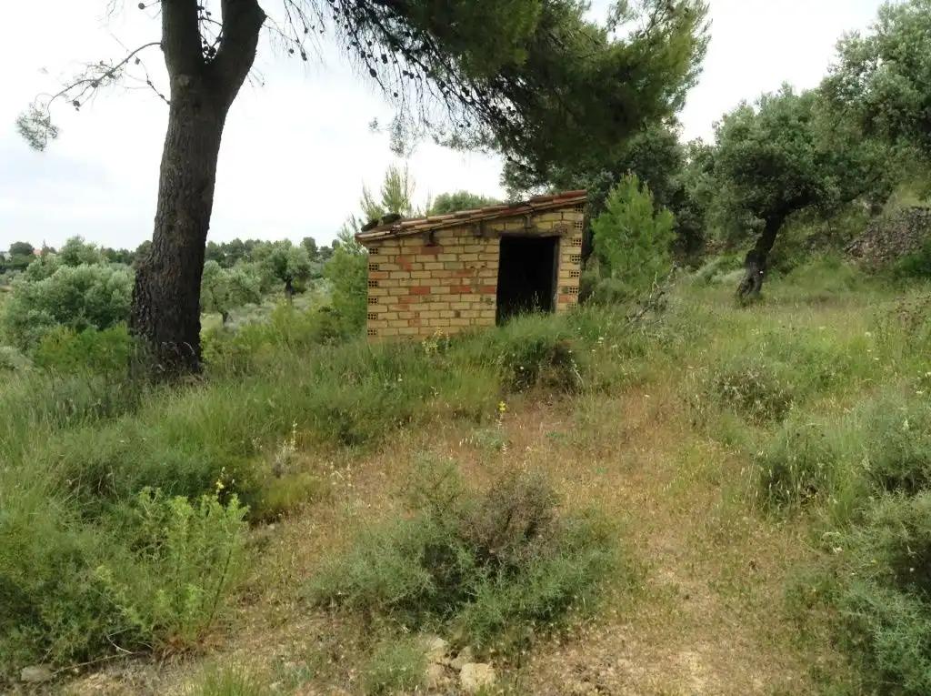 Finca en Venta en Horta de Sant Joan