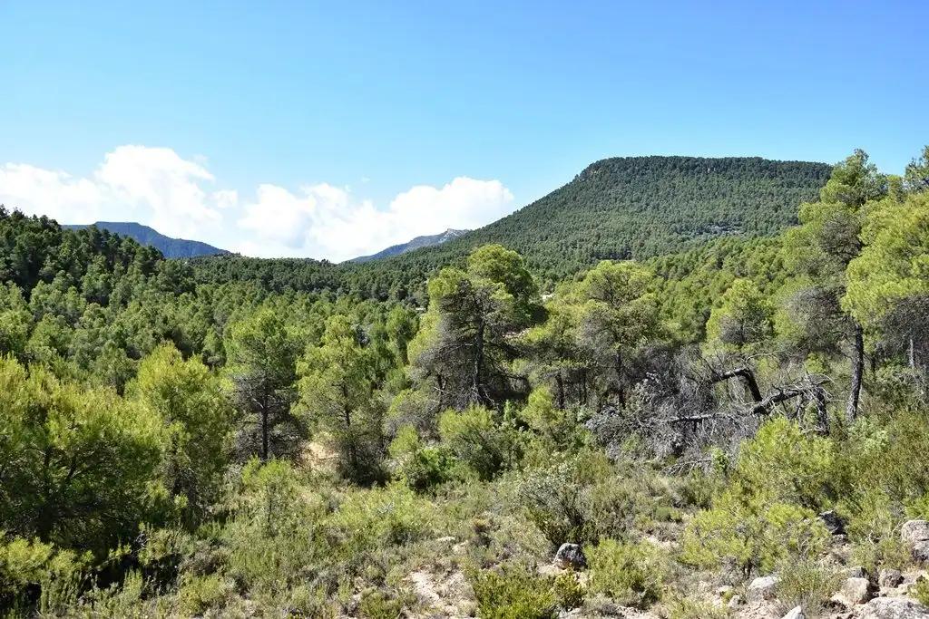 Finca en Venta en Valderrobres