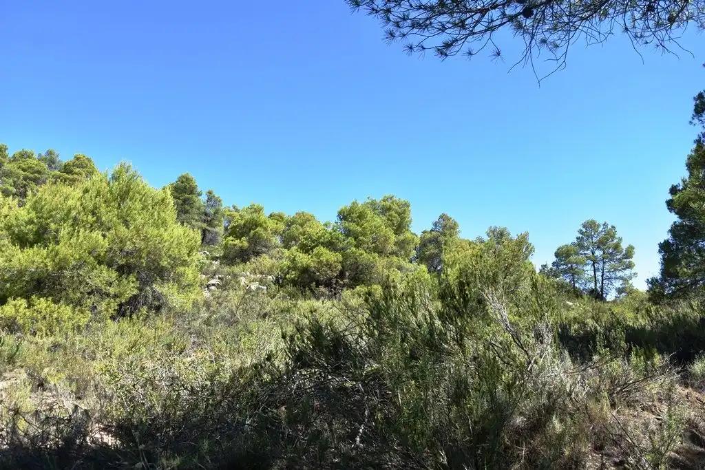 Finca en Venta en Valderrobres