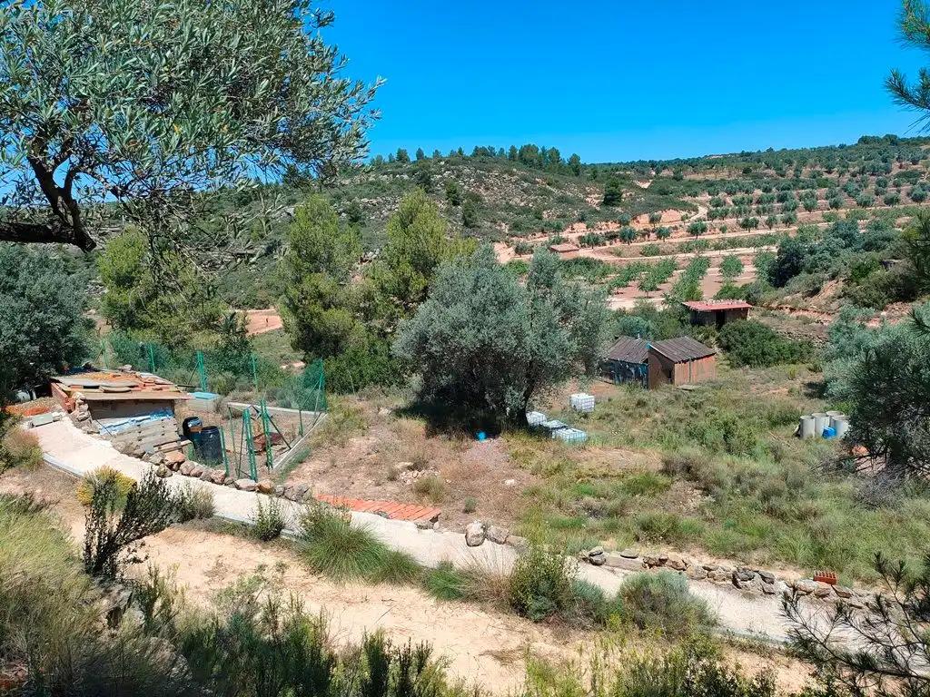 Finca en Venta en Calaceite
